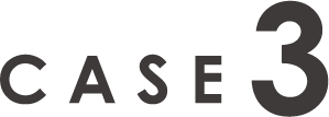 case3