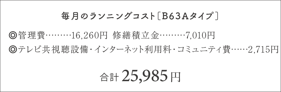 毎月のランニングコスト［D55B2タイプ］