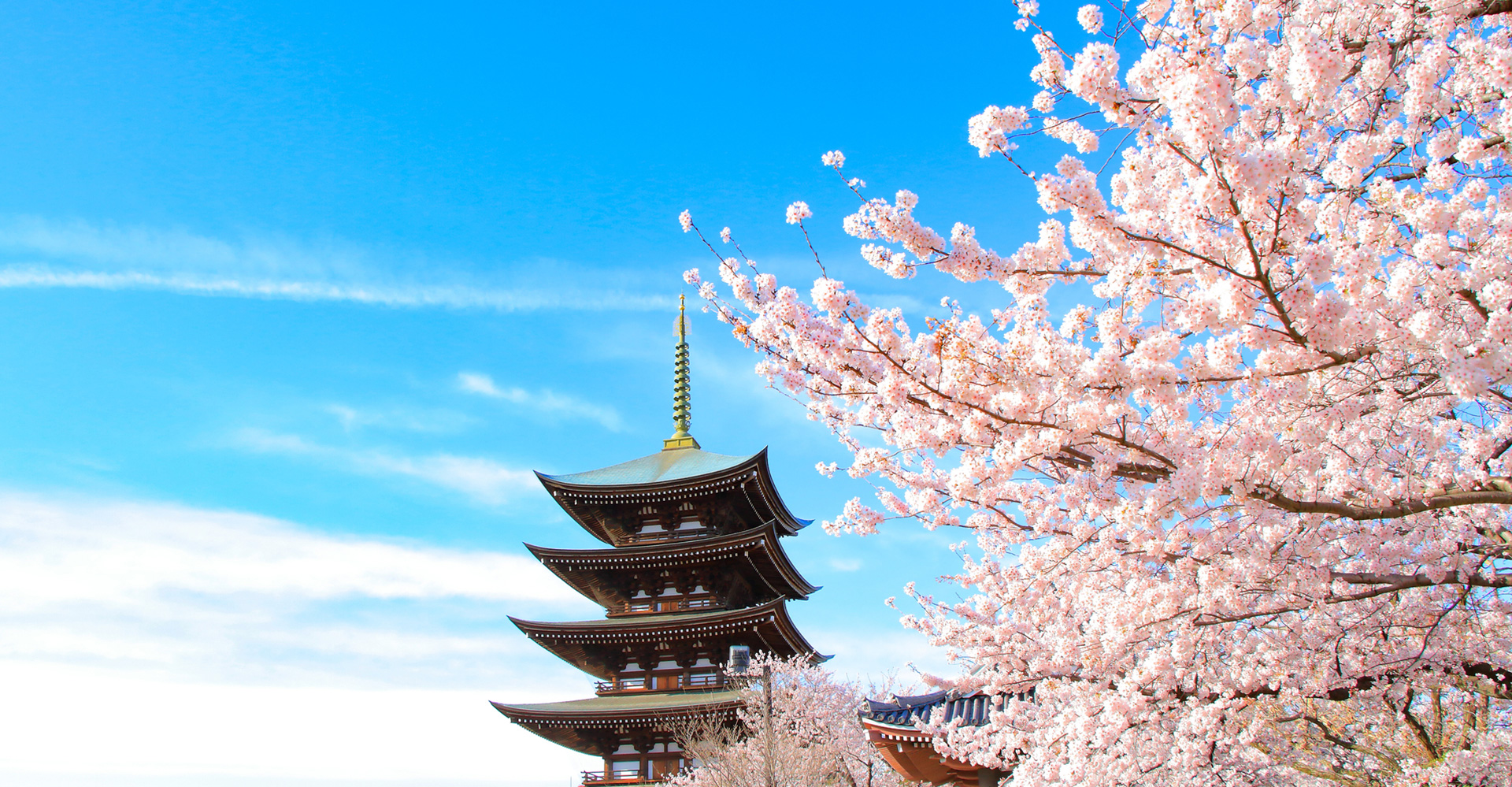 日泰寺image photo