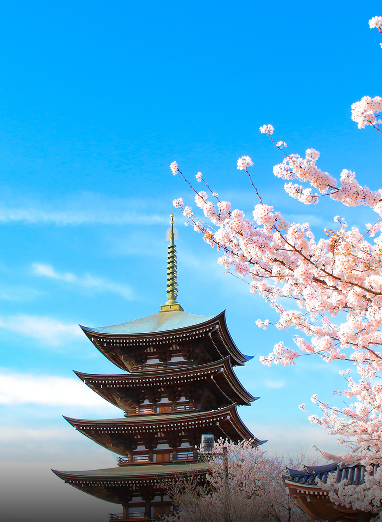 日泰寺image photo