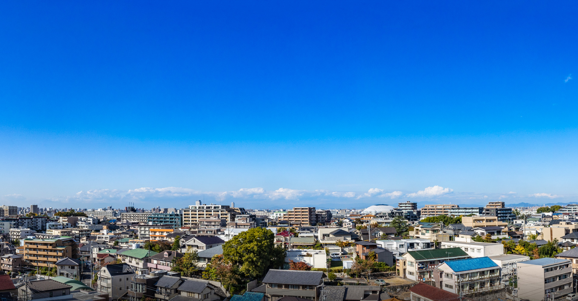 6F北側眺望写真（2023年11月撮影）