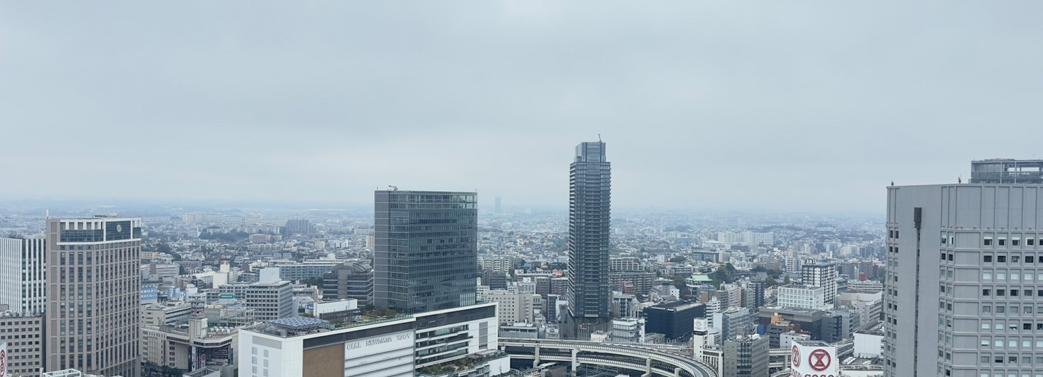 リビング・ダイニングからの都心眺望