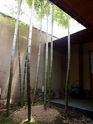 イメージ イメージ