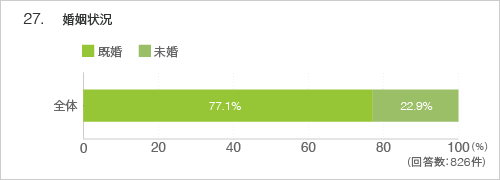 27.婚姻状況