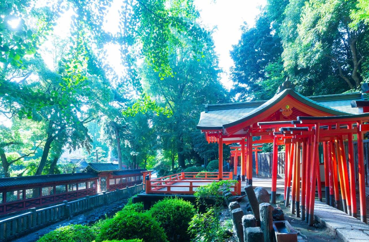 文京つつじまつりイメージ