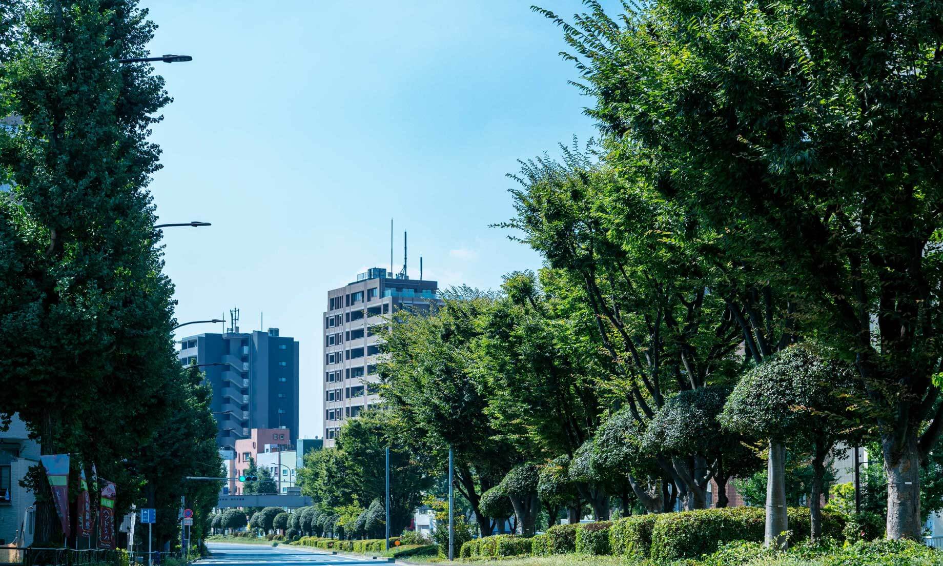 白山通り（徒歩2分/約90m）