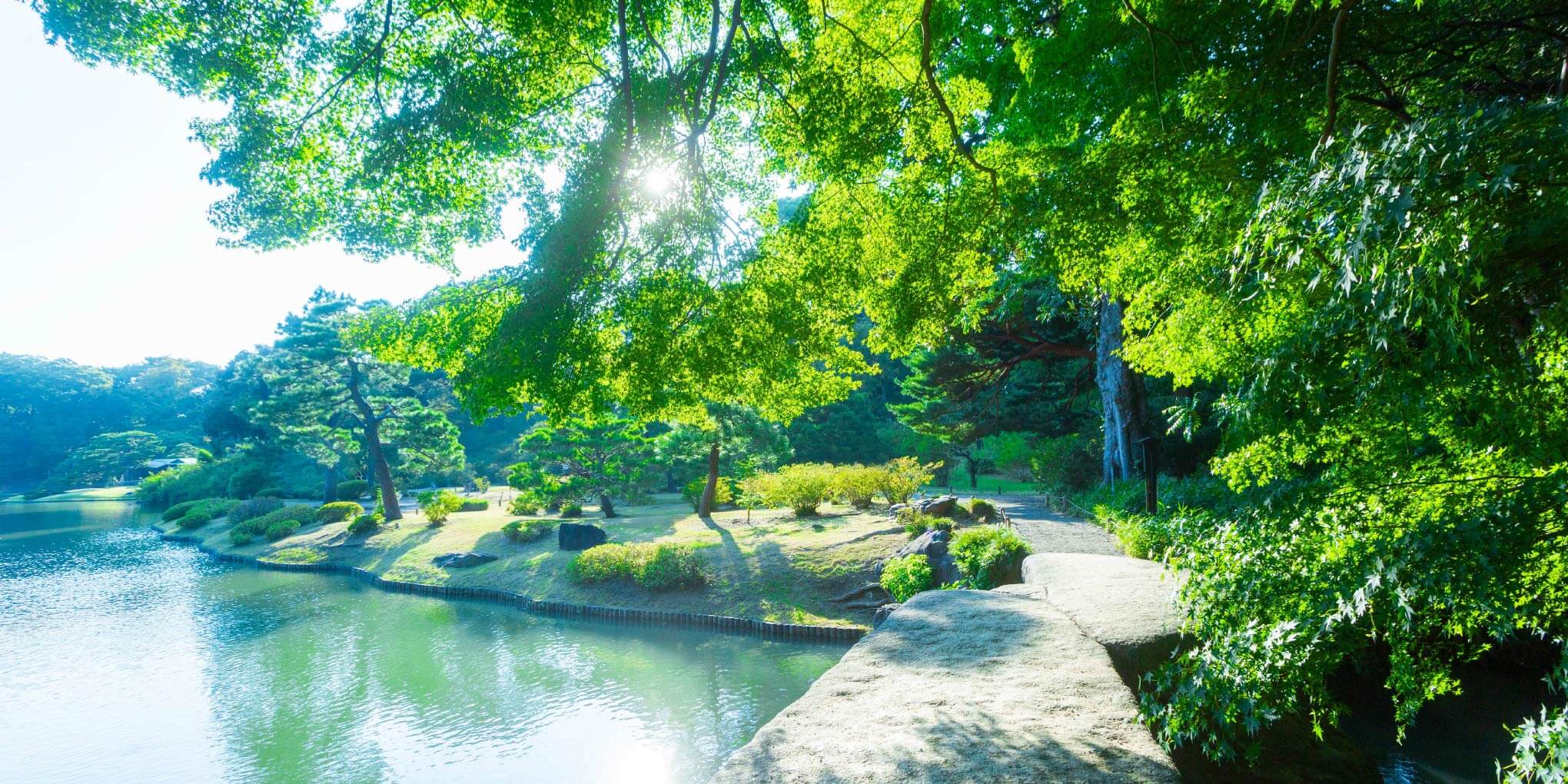 六義園（徒歩14分/約1,110m）