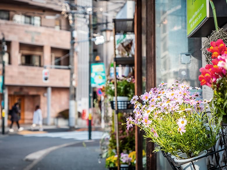 東中野本通り共栄会 写真