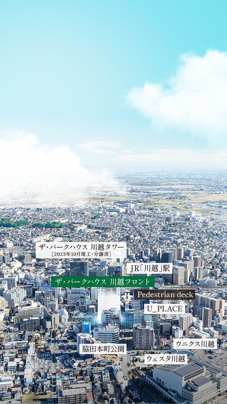 現地周辺航空写真