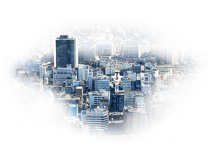 現地周辺航空写真