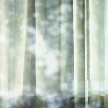 リンク背景画像：image photo