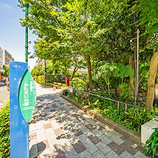 かたらいの道（文化会館通り）［散歩道］