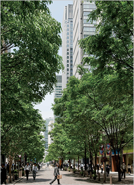 丸の内『丸の内仲通り』