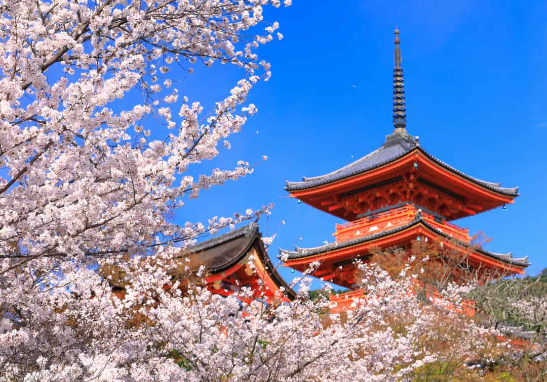 清水寺（徒歩40分/約3,150m）
