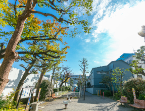 佐賀町公園（徒歩1分・約50m）