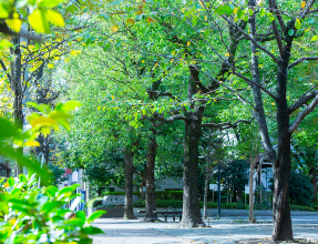 箱崎公園（徒歩10分・約740m）