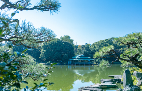 清澄庭園（徒歩10分・約770m）