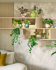 インテリア・植物など、くらしの情報を配信