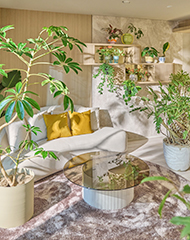 インテリア・植物など、くらしの情報を配信