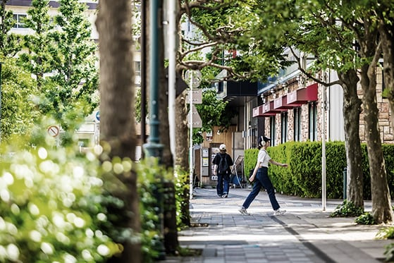 現地周辺の街並み(約800m/徒歩10分)