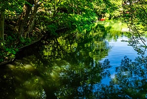 都立井の頭恩賜公園（約1,860m）
