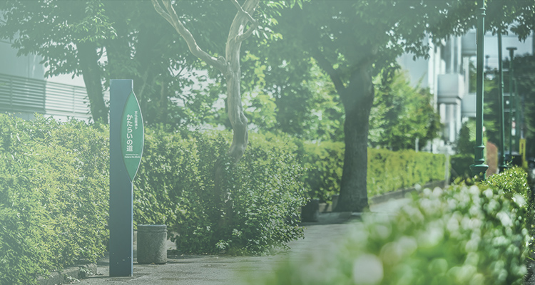 現地周辺の街並み（約250m/徒歩3分)