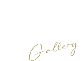 Instagram gallery