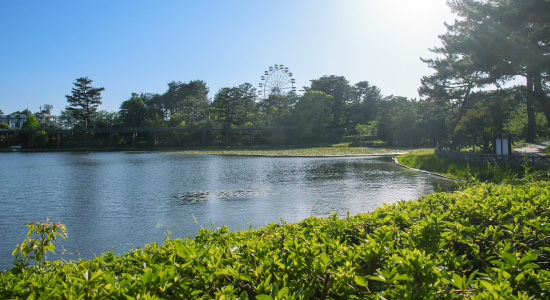 南公園
