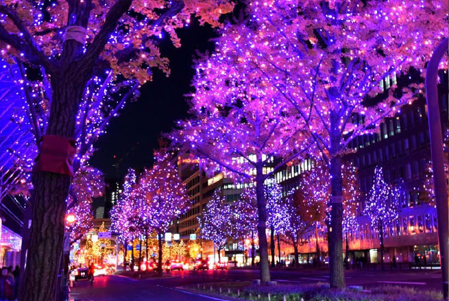 新たな魅力が体験できる御堂筋のイメージ