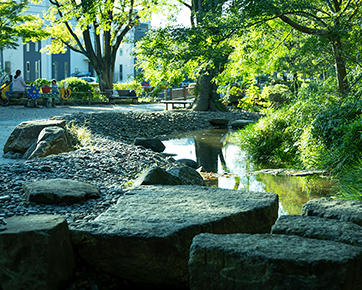 岡本公園 写真