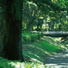 砧公園