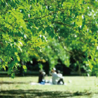 砧公園