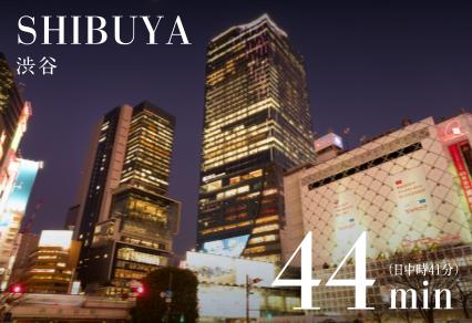 ※上記6点image photo