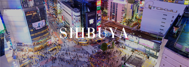 ※上記2点image photo