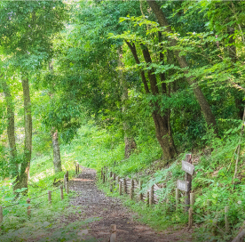 川和市民の森（徒歩7分／約520m）
