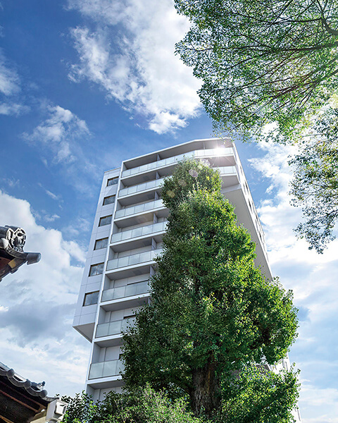 緑豊かな開放感ある住環境