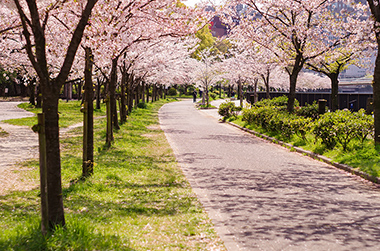 毛馬桜之宮公園
