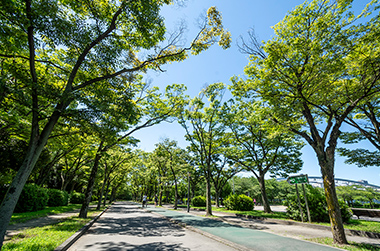 毛馬桜之宮公園