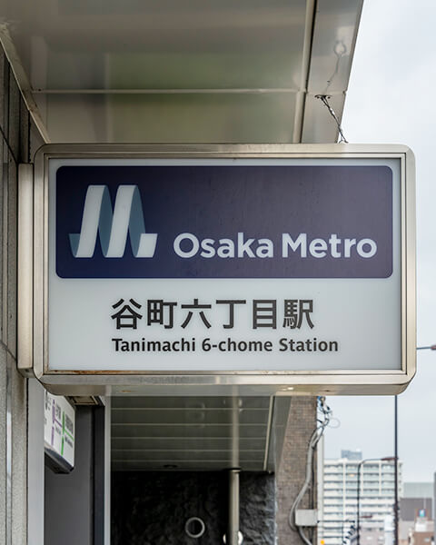 撮影写真