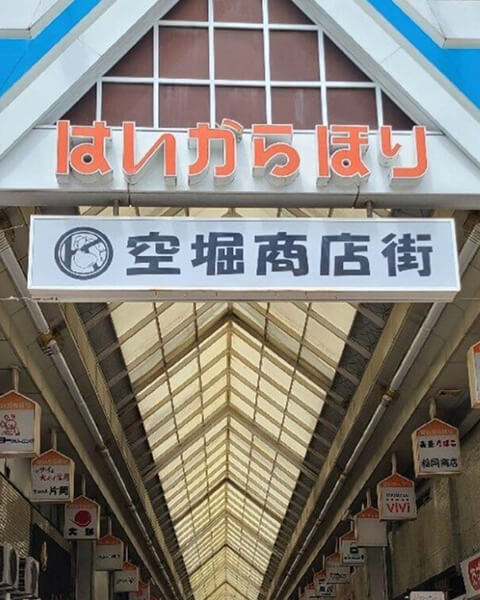 撮影写真
